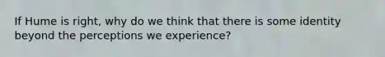 If Hume is right, why do we think that there is some identity beyond the perceptions we experience?