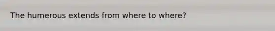 The humerous extends from where to where?