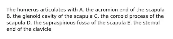 The humerus articulates with A. the acromion end of the scapula B. the glenoid cavity of the scapula C. the corcoid process of the scapula D. the supraspinous fossa of the scapula E. the sternal end of the clavicle