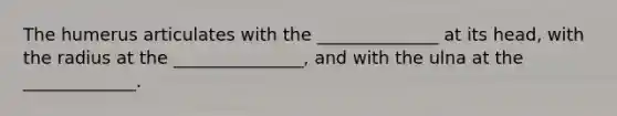 The humerus articulates with the ______________ at its head, with the radius at the _______________, and with the ulna at the _____________.