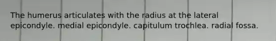 The humerus articulates with the radius at the lateral epicondyle. medial epicondyle. capitulum trochlea. radial fossa.