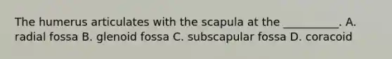 The humerus articulates with the scapula at the __________. A. radial fossa B. glenoid fossa C. subscapular fossa D. coracoid
