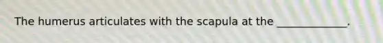 The humerus articulates with the scapula at the _____________.
