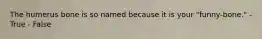 The humerus bone is so named because it is your "funny-bone." - True - False