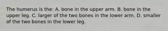 The humerus is the: A. bone in the upper arm. B. bone in the upper leg. C. larger of the two bones in the lower arm. D. smaller of the two bones in the lower leg.