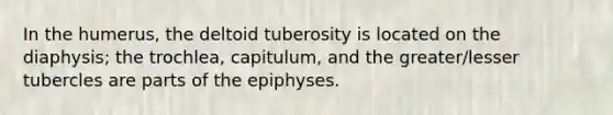 In the humerus, the deltoid tuberosity is located on the diaphysis; the trochlea, capitulum, and the greater/lesser tubercles are parts of the epiphyses.