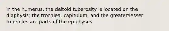 in the humerus, the deltoid tuberosity is located on the diaphysis; the trochlea, capitulum, and the greater/lesser tubercles are parts of the epiphyses