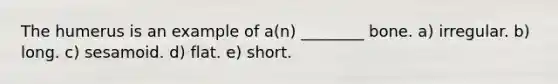 The humerus is an example of a(n) ________ bone. a) irregular. b) long. c) sesamoid. d) flat. e) short.