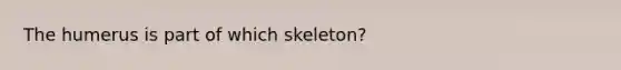 The humerus is part of which skeleton?