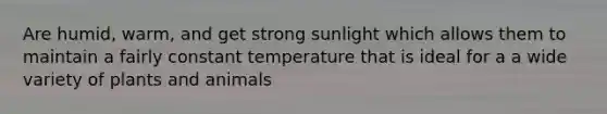 Are humid, warm, and get strong sunlight which allows them to maintain a fairly constant temperature that is ideal for a a wide variety of plants and animals