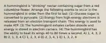 A hummingbird is "drinking" nectar containing sugar from a red columbine flower. Arrange the following events to occur in the hummingbird in order from the first to last: (1) Glucose sugar is converted to pyruvate. (2) Energy from high-energy electrons is released from an electron transport chain. This energy is used to make ATP. (3) The hummingbird exhales carbon dioxide and energy is stored in electron carriers. (4) The hummingbird has the ability to beat its wings 40 to 80 times a second. A) 1, 4, 3, 2 B) 2, 1, 3, 4 C) 1, 2, 3, 4 D) 2, 3, 4, 1 E) 1, 3, 2, 4