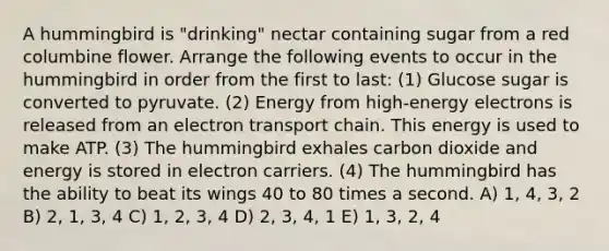 A hummingbird is "drinking" nectar containing sugar from a red columbine flower. Arrange the following events to occur in the hummingbird in order from the first to last: (1) Glucose sugar is converted to pyruvate. (2) Energy from high-energy electrons is released from an electron transport chain. This energy is used to make ATP. (3) The hummingbird exhales carbon dioxide and energy is stored in electron carriers. (4) The hummingbird has the ability to beat its wings 40 to 80 times a second. A) 1, 4, 3, 2 B) 2, 1, 3, 4 C) 1, 2, 3, 4 D) 2, 3, 4, 1 E) 1, 3, 2, 4