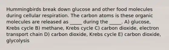 Hummingbirds break down glucose and other food molecules during cellular respiration. The carbon atoms is these organic molecules are released as _____ during the _____. A) glucose, Krebs cycle B) methane, Krebs cycle C) carbon dioxide, electron transport chain D) carbon dioxide, Krebs cycle E) carbon dioxide, glycolysis