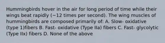 Hummingbirds hover in the air for long period of time while their wings beat rapidly (~12 times per second). The wing muscles of hummingbirds are composed primarily of: A. Slow- oxidative (type 1)fibers B. Fast- oxidative (Type IIa) fibers C. Fast- glycolytic (Type IIx) fibers D. None of the above