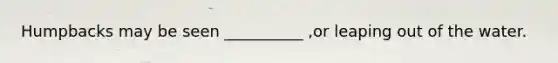 Humpbacks may be seen __________ ,or leaping out of the water.