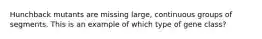 Hunchback mutants are missing large, continuous groups of segments. This is an example of which type of gene class?