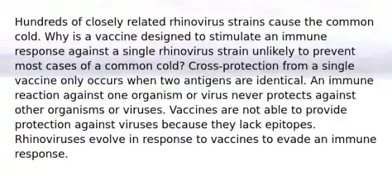 Hundreds of closely related rhinovirus strains cause the common cold. Why is a vaccine designed to stimulate an immune response against a single rhinovirus strain unlikely to prevent most cases of a common cold? Cross-protection from a single vaccine only occurs when two antigens are identical. An immune reaction against one organism or virus never protects against other organisms or viruses. Vaccines are not able to provide protection against viruses because they lack epitopes. Rhinoviruses evolve in response to vaccines to evade an immune response.