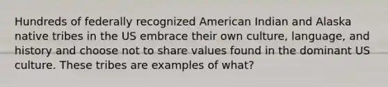 Hundreds of federally recognized American Indian and Alaska native tribes in the US embrace their own culture, language, and history and choose not to share values found in the dominant US culture. These tribes are examples of what?