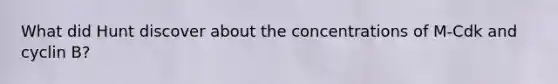 What did Hunt discover about the concentrations of M-Cdk and cyclin B?