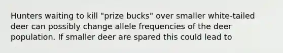 Hunters waiting to kill "prize bucks" over smaller white-tailed deer can possibly change allele frequencies of the deer population. If smaller deer are spared this could lead to