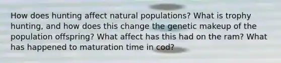 How does hunting affect natural populations? What is trophy hunting, and how does this change the genetic makeup of the population offspring? What affect has this had on the ram? What has happened to maturation time in cod?