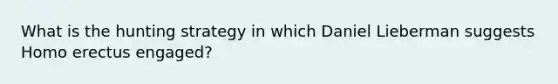 What is the hunting strategy in which Daniel Lieberman suggests Homo erectus engaged?