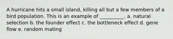 A hurricane hits a small island, killing all but a few members of a bird population. This is an example of __________. a. natural selection b. the founder effect c. the bottleneck effect d. gene flow e. random mating