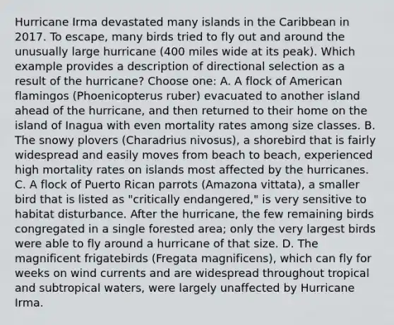 Hurricane Irma devastated many islands in the Caribbean in 2017. To escape, many birds tried to fly out and around the unusually large hurricane (400 miles wide at its peak). Which example provides a description of directional selection as a result of the hurricane? Choose one: A. A flock of American flamingos (Phoenicopterus ruber) evacuated to another island ahead of the hurricane, and then returned to their home on the island of Inagua with even mortality rates among size classes. B. The snowy plovers (Charadrius nivosus), a shorebird that is fairly widespread and easily moves from beach to beach, experienced high mortality rates on islands most affected by the hurricanes. C. A flock of Puerto Rican parrots (Amazona vittata), a smaller bird that is listed as "critically endangered," is very sensitive to habitat disturbance. After the hurricane, the few remaining birds congregated in a single forested area; only the very largest birds were able to fly around a hurricane of that size. D. The magnificent frigatebirds (Fregata magnificens), which can fly for weeks on wind currents and are widespread throughout tropical and subtropical waters, were largely unaffected by Hurricane Irma.