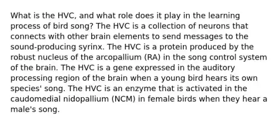 What is the HVC, and what role does it play in the learning process of bird song? The HVC is a collection of neurons that connects with other brain elements to send messages to the sound-producing syrinx. The HVC is a protein produced by the robust nucleus of the arcopallium (RA) in the song control system of the brain. The HVC is a gene expressed in the auditory processing region of the brain when a young bird hears its own species' song. The HVC is an enzyme that is activated in the caudomedial nidopallium (NCM) in female birds when they hear a male's song.