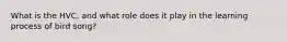 What is the HVC, and what role does it play in the learning process of bird song?