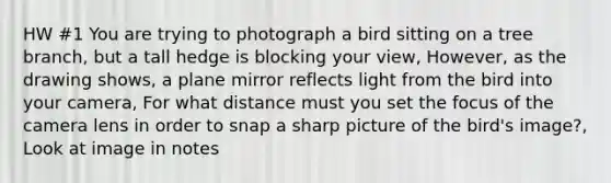 HW #1 You are trying to photograph a bird sitting on a tree branch, but a tall hedge is blocking your view, However, as the drawing shows, a plane mirror reflects light from the bird into your camera, For what distance must you set the focus of the camera lens in order to snap a sharp picture of the bird's image?, Look at image in notes