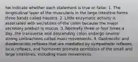 hw Indicate whether each statement is true or false: 1. The longitudinal layer of the muscularis in the large intestine forms three bands called haustra. 2. Little enzymatic activity is associated with secretions of the colon because the major secretory product is mucus. 3. Normally three or four times a day, the transverse and descending colon undergo several strong contractions called mass movements. 4. Gastrocolic and duodenocolic reflexes that are mediated by sympathetic reflexes, local reflexes, and hormones promote peristalsis of the small and large intestines, including mass movements.