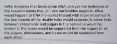 HW4: Enzymes that break down DNA catalyze the hydrolysis of the covalent bonds that join two nucleotides together. What would happen to DNA molecules treated with those enzymes? A. the two strands of the double helix would separate B. some links between phosphates and sugars in the backbone would be broken C. the bases would be separated from the sugars D. all the sugars, phosphates, and bases would be separated from each other