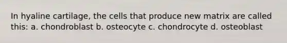 In hyaline cartilage, the cells that produce new matrix are called this: a. chondroblast b. osteocyte c. chondrocyte d. osteoblast