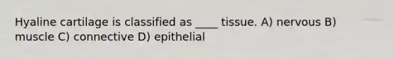 Hyaline cartilage is classified as ____ tissue. A) nervous B) muscle C) connective D) epithelial