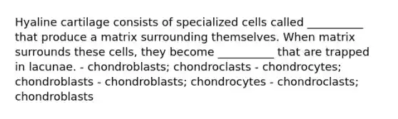 Hyaline cartilage consists of specialized cells called __________ that produce a matrix surrounding themselves. When matrix surrounds these cells, they become __________ that are trapped in lacunae. - chondroblasts; chondroclasts - chondrocytes; chondroblasts - chondroblasts; chondrocytes - chondroclasts; chondroblasts