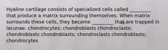 Hyaline cartilage consists of specialized cells called _________ that produce a matrix surrounding themselves. When matrix surrounds these cells, they become _________ that are trapped in lacunae. chondrocytes; chondroblasts chondroclasts; chondroblasts chondroblasts; chondroclasts chondroblasts; chondrocytes