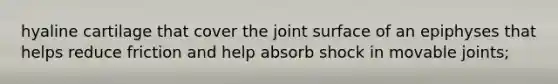 hyaline cartilage that cover the joint surface of an epiphyses that helps reduce friction and help absorb shock in movable joints;