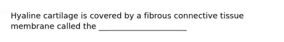 Hyaline cartilage is covered by a fibrous <a href='https://www.questionai.com/knowledge/kYDr0DHyc8-connective-tissue' class='anchor-knowledge'>connective tissue</a> membrane called the ______________________