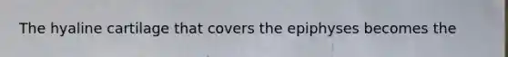 The hyaline cartilage that covers the epiphyses becomes the