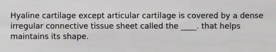 Hyaline cartilage except articular cartilage is covered by a dense irregular connective tissue sheet called the ____. that helps maintains its shape.