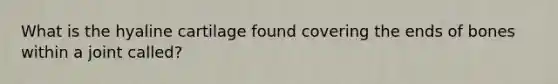 What is the hyaline cartilage found covering the ends of bones within a joint called?