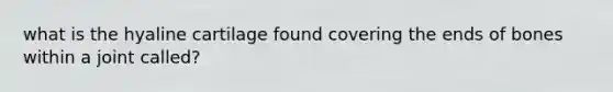 what is the hyaline cartilage found covering the ends of bones within a joint called?
