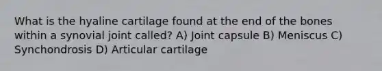 What is the hyaline cartilage found at the end of the bones within a synovial joint called? A) Joint capsule B) Meniscus C) Synchondrosis D) Articular cartilage