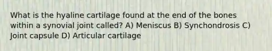 What is the hyaline cartilage found at the end of the bones within a synovial joint called? A) Meniscus B) Synchondrosis C) Joint capsule D) Articular cartilage