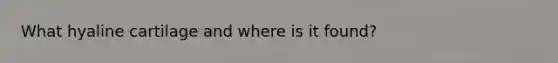 What hyaline cartilage and where is it found?