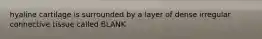 hyaline cartilage is surrounded by a layer of dense irregular connective tissue called BLANK