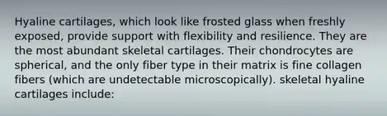 Hyaline cartilages, which look like frosted glass when freshly exposed, provide support with flexibility and resilience. They are the most abundant skeletal cartilages. Their chondrocytes are spherical, and the only fiber type in their matrix is fine collagen fibers (which are undetectable microscopically). skeletal hyaline cartilages include: