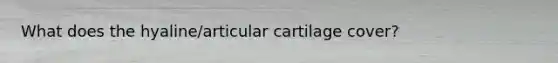 What does the hyaline/articular cartilage cover?