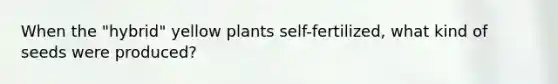 When the "hybrid" yellow plants self-fertilized, what kind of seeds were produced?